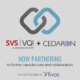 Cedaron + SVS VQI