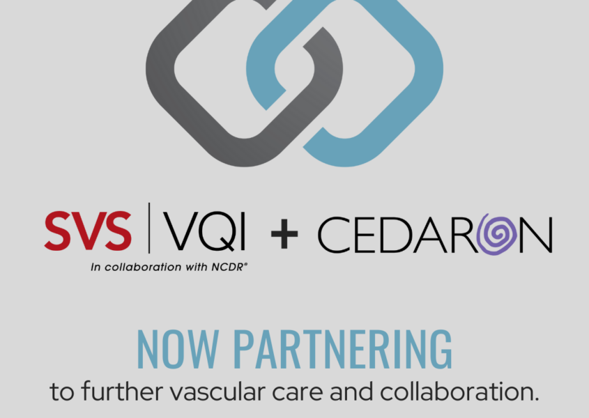 Cedaron + SVS VQI